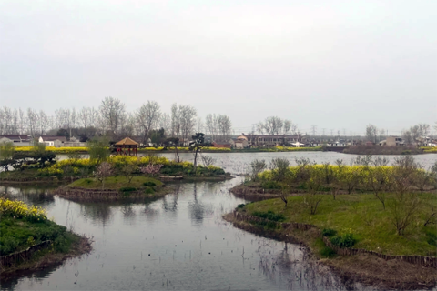 夏集桃花節(jié)